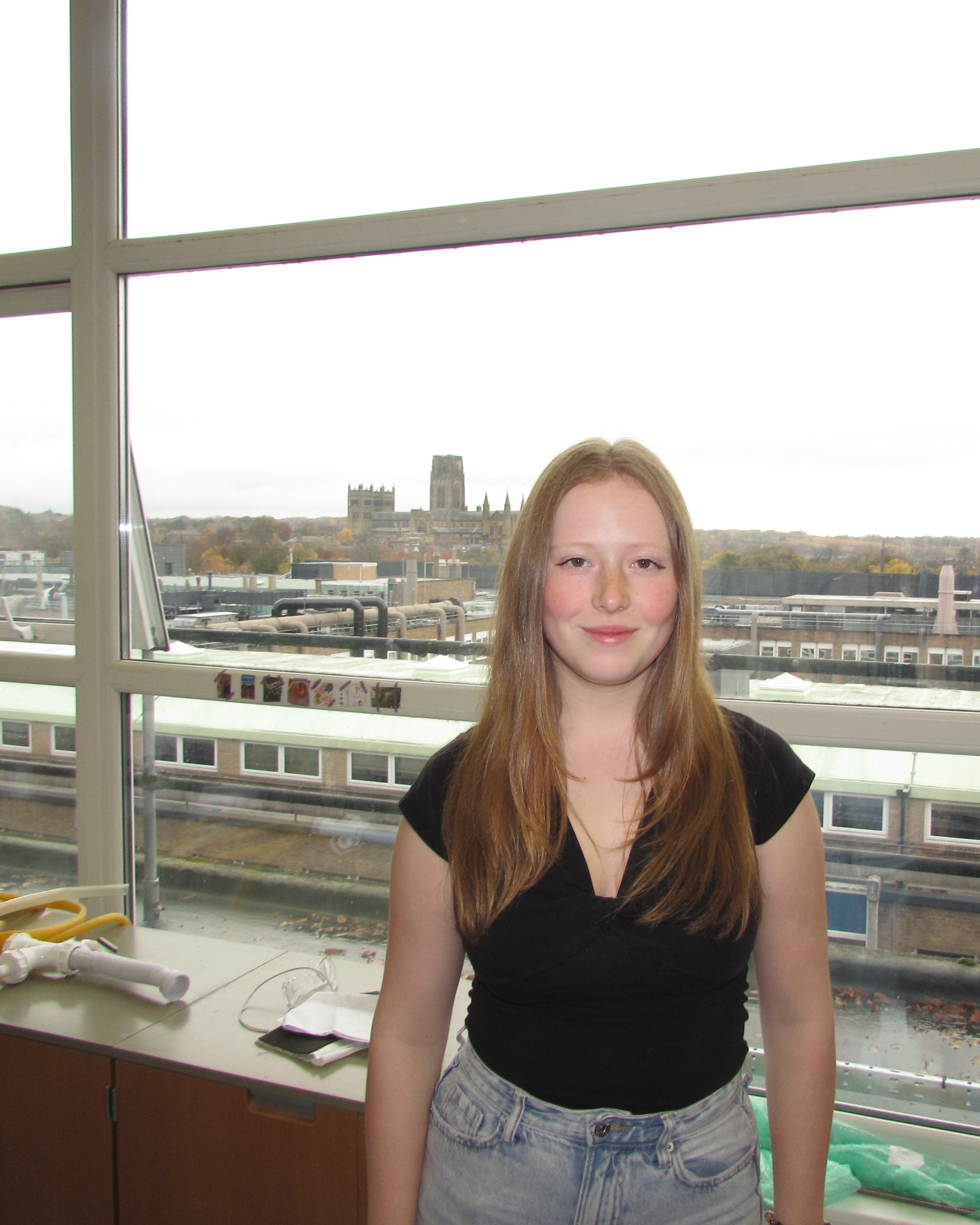 Software Lead and Website Designer